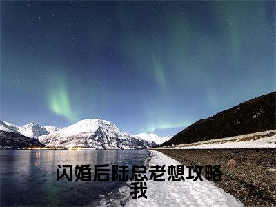 闪婚后陆总老想攻略我(沈溪和陆安时)全文免费阅读无弹窗大结局_(沈溪和陆安时在线阅读)最新章节列表笔趣阁(沈溪和陆安时)