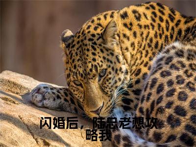 沈溪和陆安时（闪婚后，陆总老想攻略我）全文在线阅读无弹窗大结局_闪婚后，陆总老想攻略我全文无弹窗最新章节列表_笔趣阁