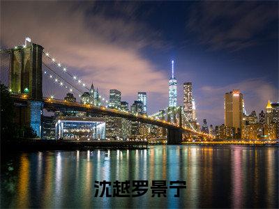 沈越罗景宁小说(罗景宁沈越)全文免费阅读无弹窗大结局_罗景宁沈越小说免费阅读无弹窗最新章节列表