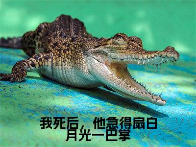 我死后,他急得扇白月光一巴掌全集免费阅读无弹窗_夏清焰江城慎完结小说榜单阅读(夏清焰江城慎小说)
