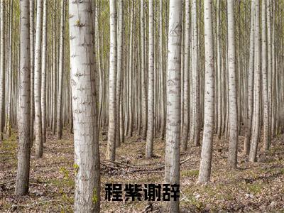 程紫谢辞阅读无弹窗大结局_(谢辞程紫阅读无弹窗)最新章节列表_笔趣阁(谢辞程紫)