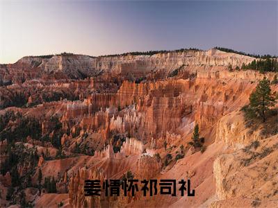 姜情怀祁司礼小说(姜情怀祁司礼)全文免费阅读无弹窗大结局_姜情怀祁司礼小说最新章节_笔趣阁(姜情怀祁司礼)
