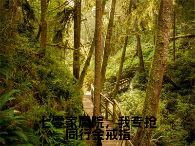 七零家属院,我专抢同行金戒指陆野柒明月全文完整版-陆野柒明月小说在线阅读