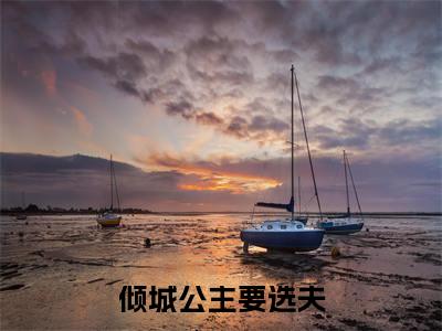 林汐影(倾城公主要选夫)全文免费阅读无弹窗大结局_林汐影小说全文大结局