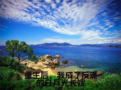 重生后,我成了反派的白月光长嫂小说热门章节免费阅读_重生后,我成了反派的白月光长嫂最新章节列表_笔趣阁