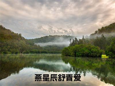 燕星辰舒青爱(燕星辰舒青爱)免费阅读无弹窗-小说燕星辰舒青爱大结局全文免费阅读