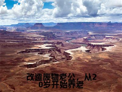 林慧徐东升(改造废物老公,从20岁开始养老)全文免费阅读无弹窗大结局改造废物老公,从20岁开始养老(林慧徐东升)