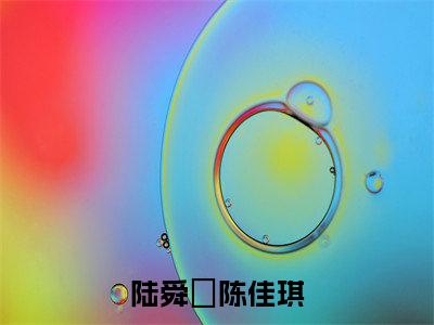 陆舜晞陈佳琪是什么小说,陆舜晞陈佳琪(陆舜晞陈佳琪)完整章节在线阅读