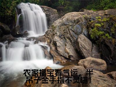 农家福宝看气运,半吊子金手指不灵啦!(裴海棠)全文免费阅读无弹窗大结局_农家福宝看气运,半吊子金手指不灵啦!免费阅读全文大结局