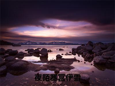 夜陌寒宫伊雪(宫伊雪夜陌寒)全文免费阅读无弹窗大结局_(宫伊雪夜陌寒小说免费阅读)最新章节列表_笔趣阁