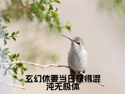 玄幻休妻当日获得混沌无极体(林泓)全文免费阅读无弹窗大结局_玄幻休妻当日获得混沌无极体免费阅读无弹窗最新章节列表