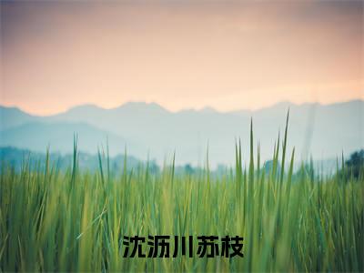 苏枝沈沥川(沈沥川苏枝)全文阅读完整版_苏枝沈沥川(沈沥川苏枝)小说免费阅读大结局无删减