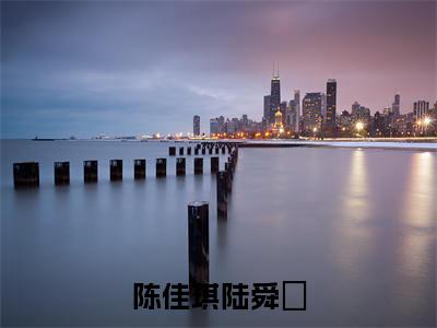 陈佳琪陆舜晞全文免费阅读无弹窗大结局_(陈佳琪陆舜晞)陆舜晞陈佳琪最新章节列表_笔趣阁