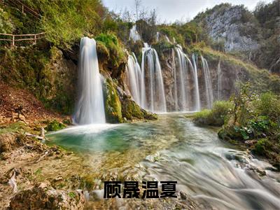 顾晟温夏全文免费阅读大结局_顾晟温夏(顾晟温夏)最新章节列表