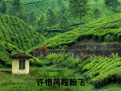许惜苒程翰飞免费阅读无弹窗大结局-许惜苒程翰飞最新全章节全文阅读免费阅读-笔趣阁