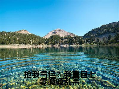 抢我气运?我重回七零嘎嘎乱杀(穆承夏听晚)全文免费阅读无弹窗完整版,(抢我气运?我重回七零嘎嘎乱杀)免费阅读全文最新章节列表_笔趣阁
