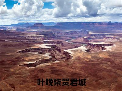 叶晚柒贺君城精彩小说(叶晚柒贺君城)在哪免费看-小说(叶晚柒贺君城)全文完整版免费阅读