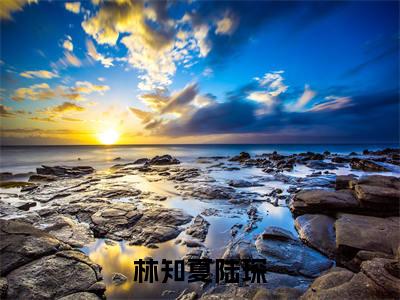 小说林知夏陆琛(林知夏陆琛小说免费阅读)完结阅读,林知夏陆琛在线阅读