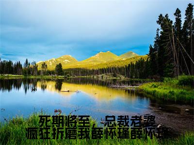 主角是薛怀瑾盛明月的小说-死期将至,总裁老婆疯狂折磨我薛怀瑾薛怀瑾全文无弹窗免费阅读