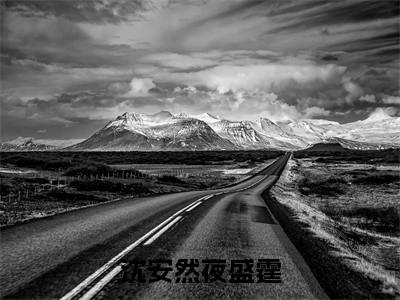 沈安然夜盛霆(沈安然夜盛霆)最新免费小说-沈安然夜盛霆(沈安然夜盛霆)全文全章节免费阅读