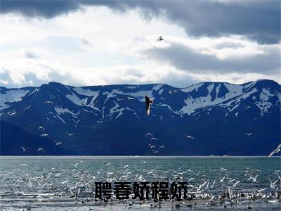 聘春娇程娇(谢琅程娇)全文完整版免费阅读-主角叫谢琅程娇的小说聘春娇程娇