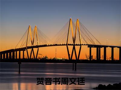 经典小说贺音书周文廷无广告小说免费阅读贺音书周文廷全章节免费阅读