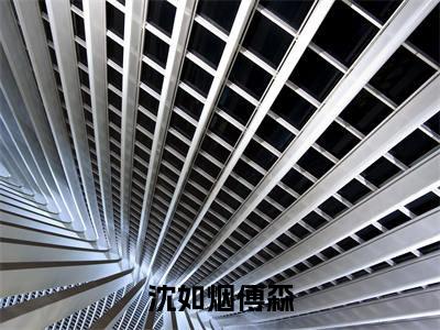 沈如烟傅森(沈如烟傅森)全文免费阅读无弹窗大结局_(沈如烟傅森)沈如烟傅森最新章节列表