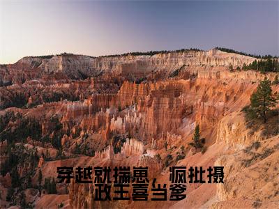 唐昭宁新书穿越就揣崽,疯批摄政王喜当爹看全文小说-唐昭宁小说资源阅读穿越就揣崽,疯批摄政王喜当爹