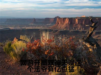 网游开局双神天赋这个法爷有亿点猛小说大结局完整版阅读,韩萧小说全文在线阅读