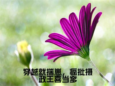 穿越就揣崽,疯批摄政王喜当爹全文免费阅读_穿越就揣崽,疯批摄政王喜当爹(唐昭宁免费阅读无弹窗)唐昭宁最新章节在线阅读笔趣阁