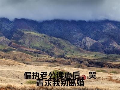偏执老公读心后,哭着求我别离婚全文免费阅读无弹窗大结局_(许梨)最新章节列表_笔趣阁(偏执老公读心后,哭着求我别离婚小说)