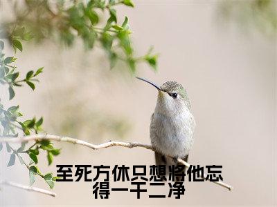 主角是容羡盛卿尘的小说(至死方休只想将他忘得一干二净)-(至死方休只想将他忘得一干二净)容羡盛卿尘全文免费阅读无弹窗大结局笔趣阁