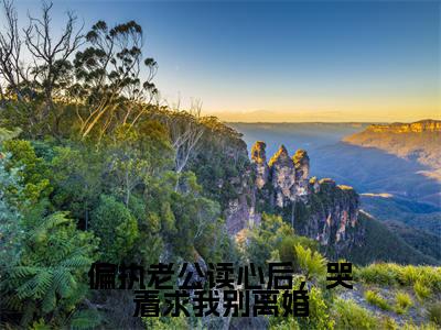 偏执老公读心后,哭着求我别离婚(许梨)全文免费阅读无弹窗大结局_许梨_笔趣阁