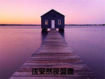 沈安然夜盛霆(沈安然夜盛霆)全文免费阅读无弹窗大结局_(沈安然夜盛霆)最新章节列表