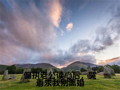 偏执老公读心后,哭着求我别离婚最新章节(许梨)全文免费阅读无弹窗大结局_许梨偏执老公读心后,哭着求我别离婚全文免费阅读