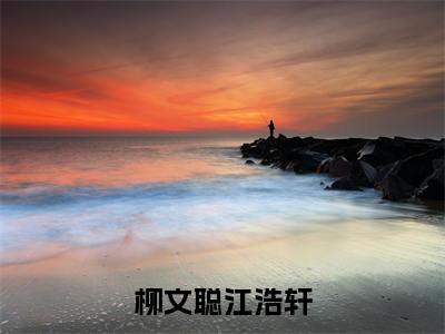 柳文聪江浩轩（江浩轩柳文聪）全文免费阅读无弹窗大结局_柳文聪江浩轩免费最新章节列表_笔趣阁