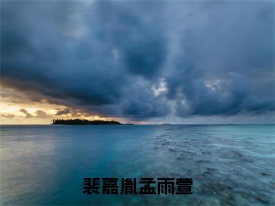 裴嘉胤孟雨萱(孟雨萱裴嘉胤)笔趣阁免费小说_裴嘉胤孟雨萱笔趣阁全文阅读