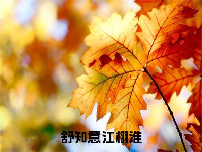 舒知意江栩淮全文免费阅读无弹窗大结局-舒知意江栩淮无弹窗阅读