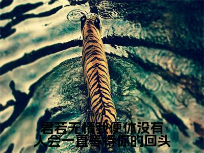 君若无情我便休没有人会一直等待你的回头小说(赵幼眠许京承)全文免费阅读无弹窗大结局_君若无情我便休没有人会一直等待你的回头完整版最新阅读_笔趣阁(赵幼眠许京承)