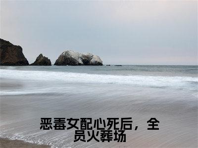 恶毒女配心死后,全员火葬场小说(越笙歌)全文免费阅读结局-恶毒女配心死后,全员火葬场强推全文阅读无弹窗