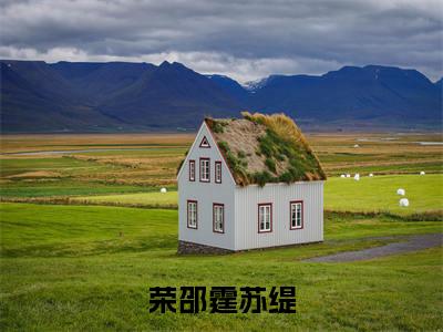 荣邵霆苏缇全文免费阅读无弹窗大结局_(荣邵霆苏缇)荣邵霆苏缇完整版全文在线赏析