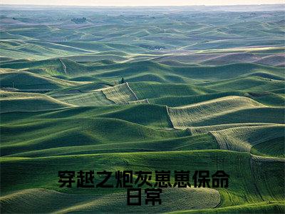 万芙(穿越之炮灰崽崽保命日常)全文免费阅读无弹窗大结局_(万芙免费阅读)穿越之炮灰崽崽保命日常无弹窗最新章节列表