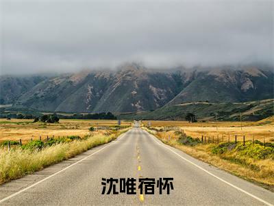 沈唯宿怀(沈唯宿怀)全文免费阅读无弹窗大结局_(沈唯宿怀)免费阅读无弹窗最新章节列表_笔趣阁