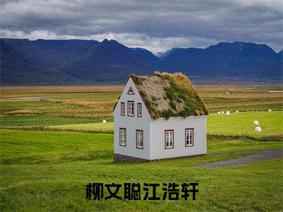 江浩轩柳文聪柳文聪江浩轩完结小说-柳文聪江浩轩全文免费阅读无弹窗