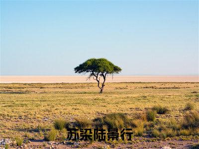 苏染陆景行免费小说-（苏染陆景行）苏染陆景行完结版在线阅读