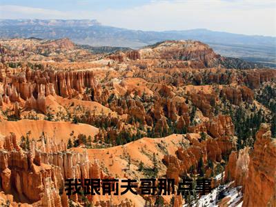 周力平刘春杨（我跟前夫哥那点事）全文免费阅读无弹窗大结局_周力平刘春杨免费最新章节列表_笔趣阁