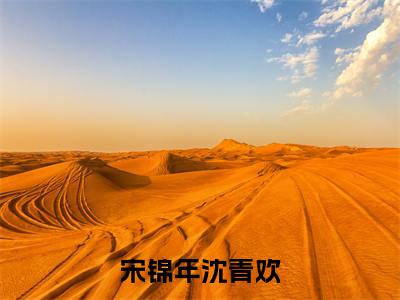 沈青欢宋锦年(宋锦年沈青欢)全文免费阅读_(宋锦年沈青欢)沈青欢宋锦年最新章节小说免费阅读_笔趣阁