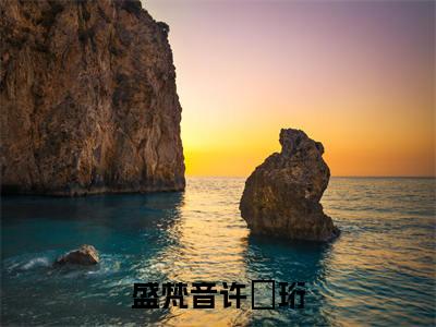 盛梵音许垏珩（盛梵音许垏珩）免费全文阅读小说_（盛梵音许垏珩）盛梵音许垏珩最新章节列表