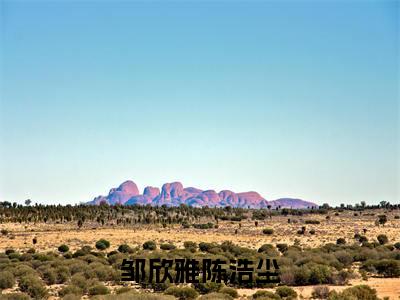 小说邹欣雅陈浩尘（邹欣雅陈浩尘）免费阅读-小说邹欣雅陈浩尘全文在线赏析