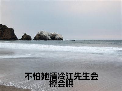 不怕她清冷江先生会撩会哄(何霁月江书砚)全集免费阅读无弹窗_不怕她清冷江先生会撩会哄正版小说免费阅读
